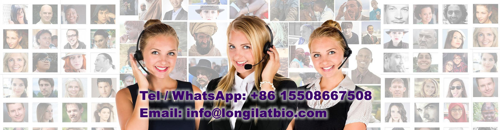 calidad GS-441524 fábrica