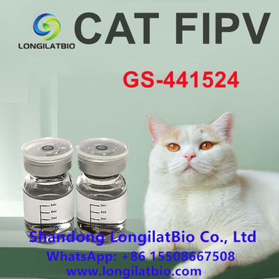 PAA anti GS 441 20mg/ML del gato del tratamiento del PAA del PAA Remdesivir