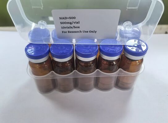 Vial liofilizado de NAD+ de alta pureza 500 mg NAD en polvo inyectable para energía y apoyo antienvejecimiento
