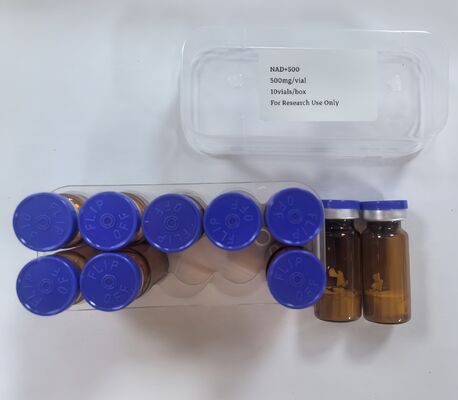 Vial liofilizado de NAD+ de alta pureza 500 mg NAD en polvo inyectable para energía y apoyo antienvejecimiento