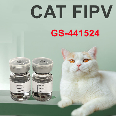 Tratamiento farmacéutico GS441524 del PAA GS para el gato 20mg/ML 30mg/ML