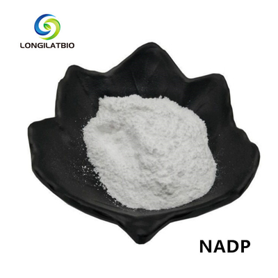 Fosfato del dinucleótido de la adenina de la Beta-niconamida del polvo de NADPH+